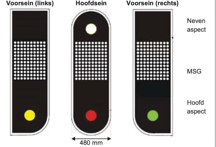 NG sein vormen-squashed